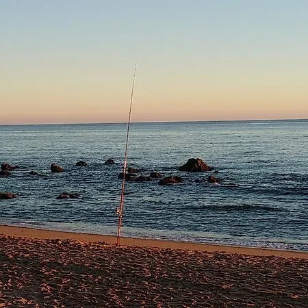 度假居 Modern Beach 马尔韦利亚